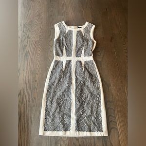 BCBG White and Black Lace Sheath Dress